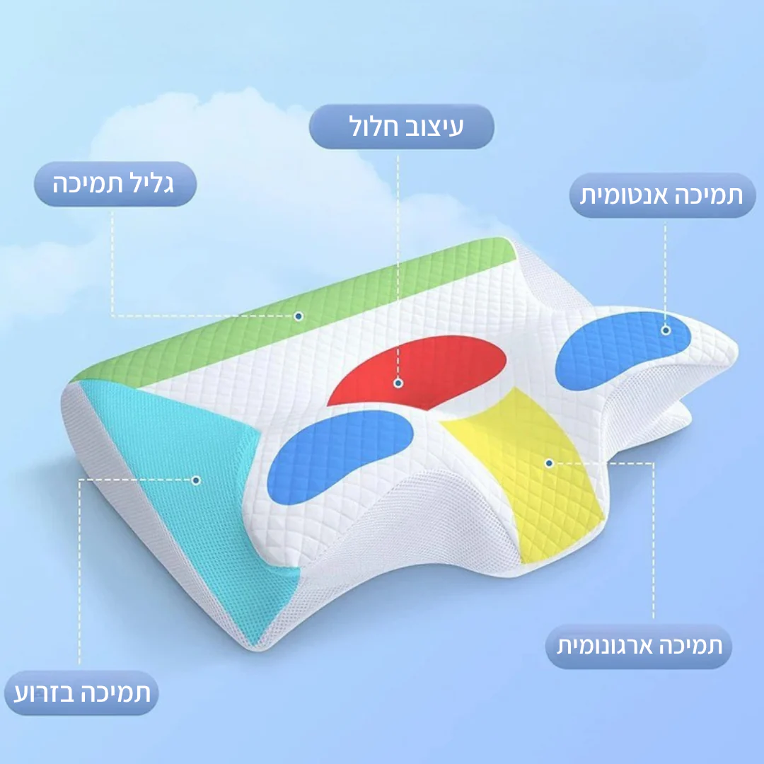 תמונת מוצר 3