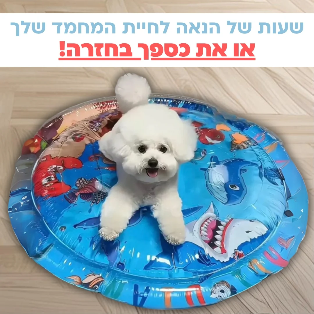 תמונה ממוזערת 1