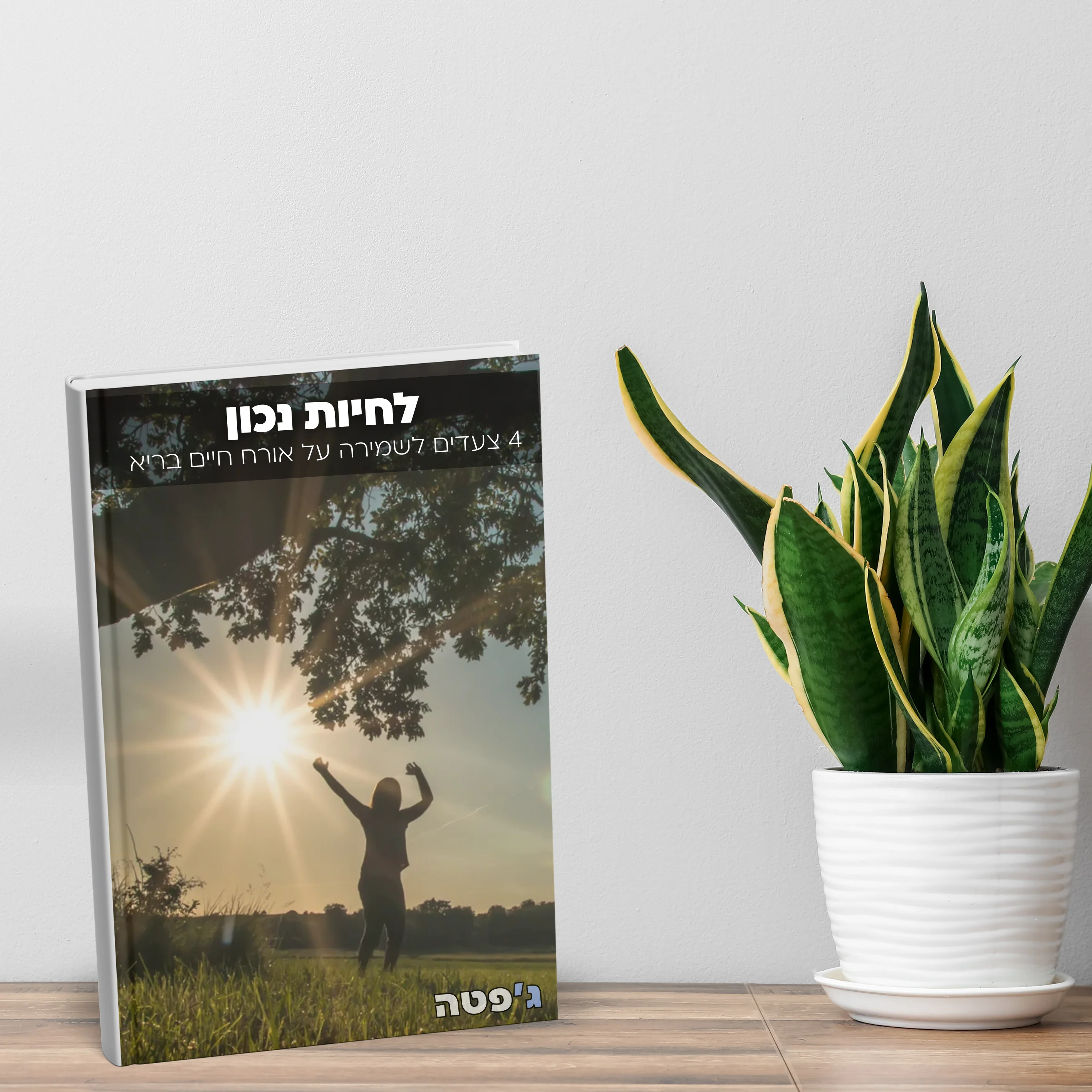 תמונת מוצר 1